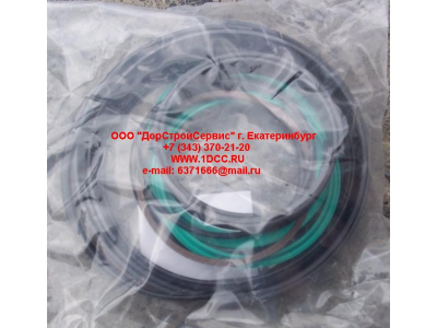 Ремкомплект гидроцилиндра стрелы (100x115) CDM855 Lonking CDM (СДМ)  фото 1 Сыктывкар