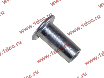 Заклепка алюминиевая 10х24 H2/H3 HOWO (ХОВО) 189000340068 AL фото 1 Сыктывкар