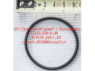 Кольцо уплотнительное ø346х3.5 гидромуфты ГТР CDM 855, 843 Lonking CDM (СДМ) 402236 фото 1 Сыктывкар