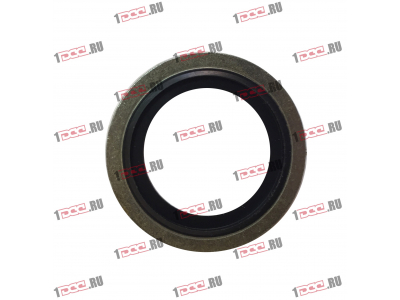 Шайба уплотнительная резинометаллическая D-24 H2 HOWO (ХОВО)  фото 1 Сыктывкар